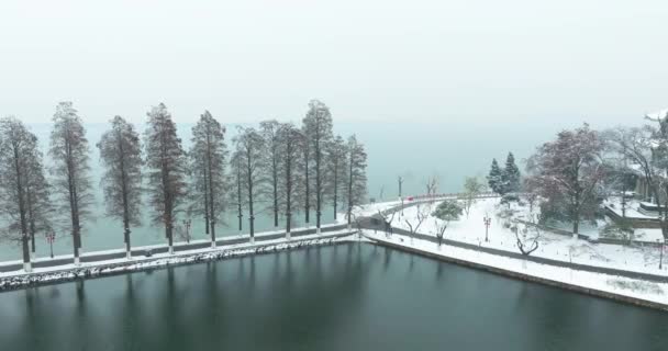Snieg Dekoracje Wuhan East Lake Scenic Area — Wideo stockowe