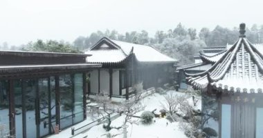 Wuhan Doğu Gölü Erik Bahçesi kar manzarası