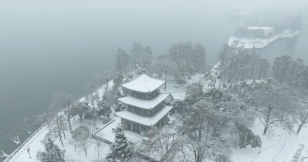 Snow Scenérie Wuhan East Lake Scenic Area — Stock video