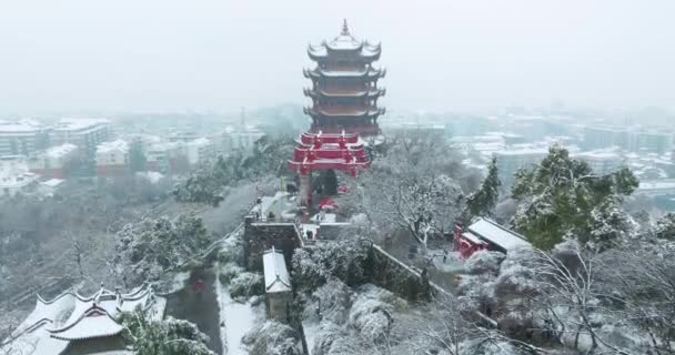 Kar Manzaralı Wuhan Sarı Turna Kulesi Parkı — Stok video