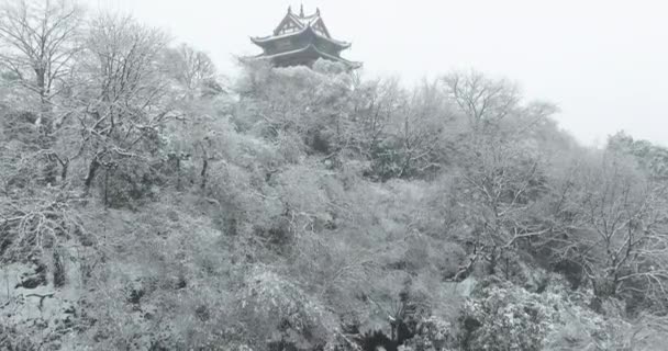 武漢イエロークレーンタワーパークの雪景色 — ストック動画