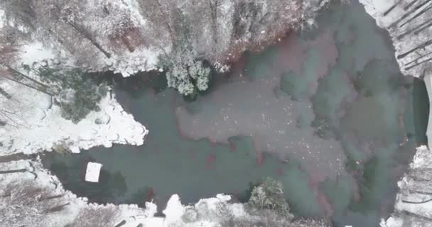 Снежный Пейзаж Сливового Сада Восточного Озера Ухань — стоковое видео