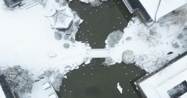 Wuhan East Lake Ameixa Jardim Cenário Neve — Vídeo de Stock