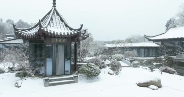 Wuhan East Lake Śliwka Ogród Śnieg Dekoracje — Wideo stockowe