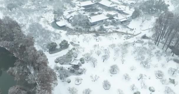 Wuhan East Lake Ameixa Jardim Cenário Neve — Vídeo de Stock
