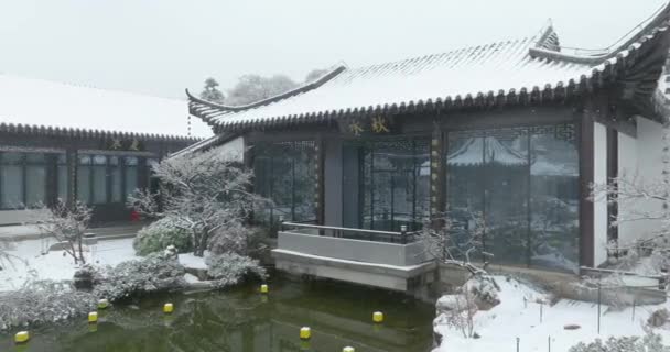 Wuhan East Lake Pruim Tuin Sneeuw Landschap — Stockvideo