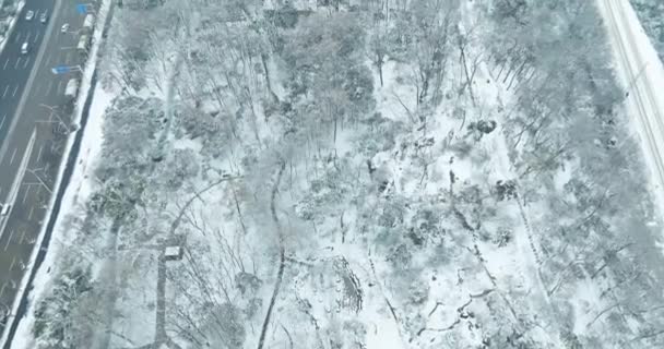 Wuhan City Landmark Malownicze Plamy Snieg Krajobrazy — Wideo stockowe