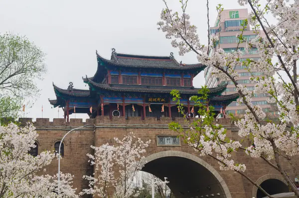 Wuhan, Hubei, Çin 'deki Qingchuange Park' ında kiraz çiçekleri.