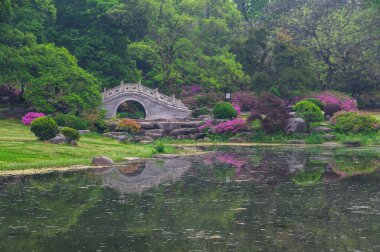 Hubei, Wuhan 'daki Doğu Gölü' nün Moshan manzaralı bölgesinde Rododendronlar çiçek açtı.