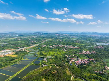 Huangshi, Hubei 'deki Baoan Gölü Wetland Parkı' nın yaz manzarası