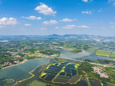 Huangshi, Hubei 'deki Baoan Gölü Wetland Parkı' nın yaz manzarası