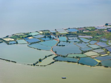 Huangshi, Hubei 'deki Baoan Gölü Wetland Parkı' nın yaz manzarası