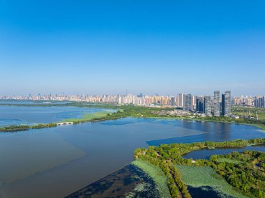 Wuhan Doğu Gölü Sahne Bölgesi Yaz Manzarası