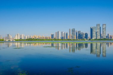 Wuhan Doğu Gölü Sahne Bölgesi Yaz Manzarası