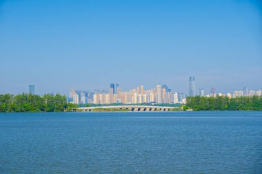 Summer scenery of Wuhan East Lake Scenic Area clipart