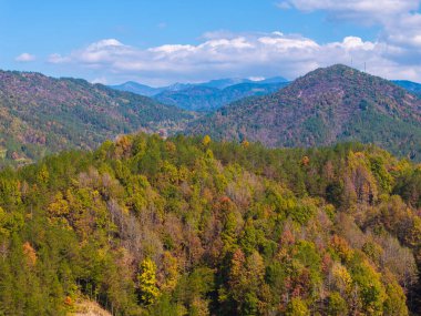 Çin 'in Luotian kentindeki Jiuzi Nehri' nin sonbahar manzarası.