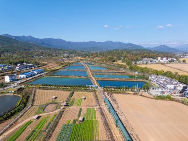 Çin 'in Luotian kentindeki Jiuzi Nehri' nin sonbahar manzarası.