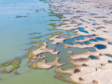Tianxing Bölgesi plaj manzarası, Wuhan Yangtze Nehri, Çin