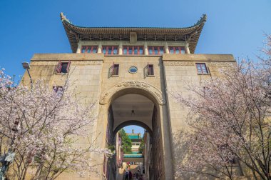 İlkbaharda Wuhan Üniversitesi 'nde kiraz çiçekleri açar.