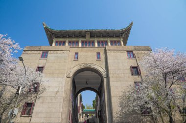 İlkbaharda Wuhan Üniversitesi 'nde kiraz çiçekleri açar.