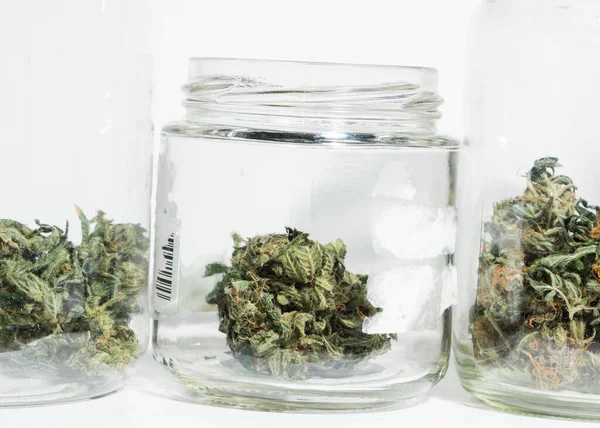 Gedroogde Cannabisbladeren Glazen Pot — Stockfoto