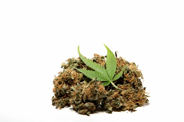 Feuille Cannabis Sur Tas Fleurs Marijuana — Photo