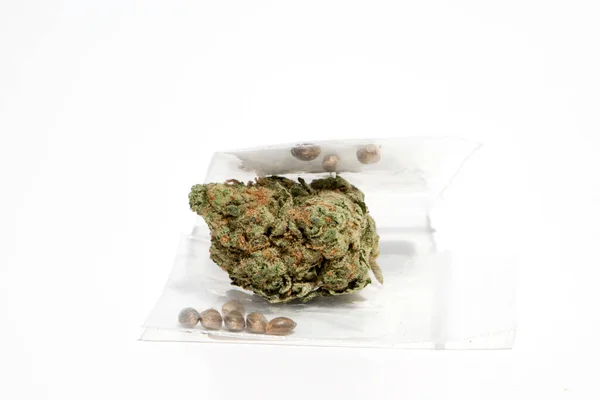 Sementes Cannabis Saco Com Flor — Fotografia de Stock