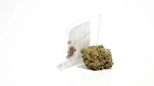 Cannabis Seeds Bag Flower — Stock Photo, Image