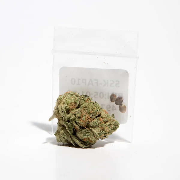 Cannabiszaden Zak Met Bloem — Stockfoto