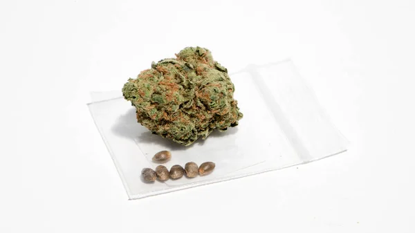 Cannabisfrön Påse Med Blomma Stockfoto