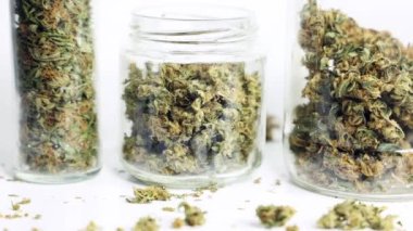 Marihuana ve Kenevir Tomurcukları Beyaz Arkaplanda Hareket Ediyor, Hareket Animasyonunu Durdur Video