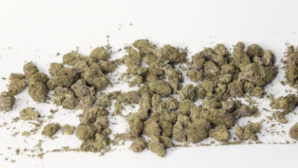 Marijuana Och Cannabis Buds Flytta Runt Vit Bakgrund Stop Motion — Stockvideo