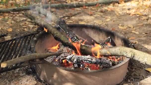 Stöcke Und Baumstämme Brennen Lagerfeuer Zelten Und Kochen Über Dem — Stockvideo