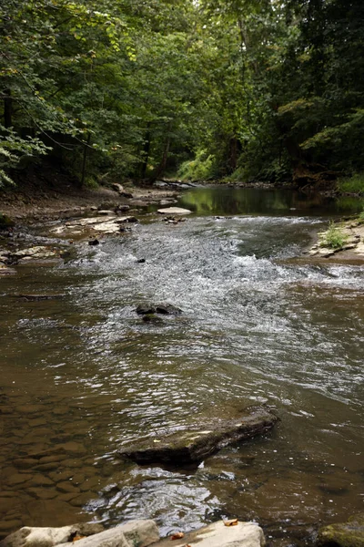 Sommer Ein Kleiner Fluss Wald — Stockfoto