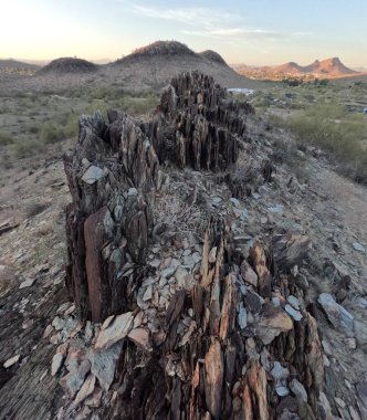 Çöl dağlarının güzel manzarasında ölü ağaç kütüğü.
