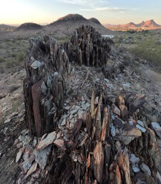 Çöl dağlarının güzel manzarasında ölü ağaç kütüğü.