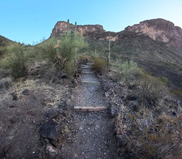Kaktüslerle çöldeki dağ yolunun güzel manzarası.