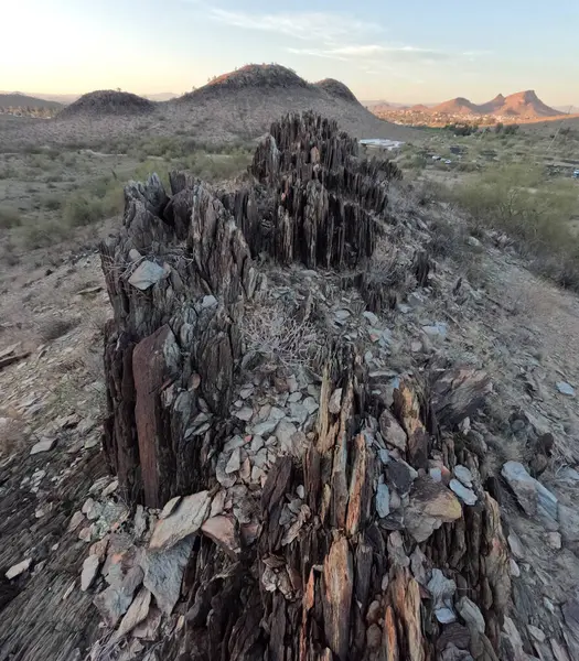 Çöl dağlarının güzel manzarasında ölü ağaç kütüğü.