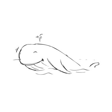 Balina El çizilmiş vektör illüstrasyonunun çizimi.
