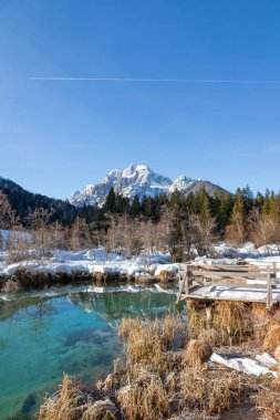 Slovenya Alplerindeki Zelenci Doğa Rezervinde huzurlu bir sabah.