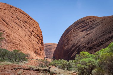 Kata Tjuta 'nın etkileyici kubbeleri, Kuzey Bölgesi, Avustralya