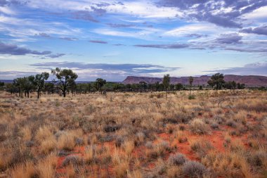 King 's Canyon, Kuzey Toprakları, Avustralya' da gün batımı görüntülendi.