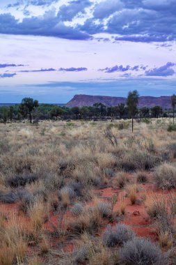 Kings Canyon, Kuzey Bölgesi, Avustralya 'da günbatımı mavi saati.