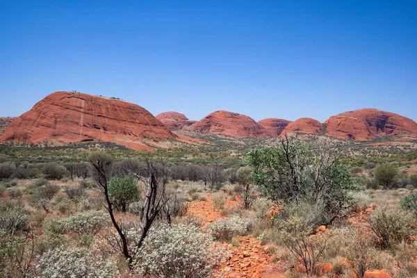 Majestic Kata Tjuta kubbeleri kırmızı merkezde, Kuzey Toprakları, Avustralya