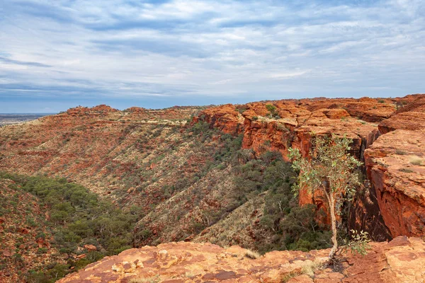 stock image Breathtaking view of the Kings Canyon, Northern Territory, Australia