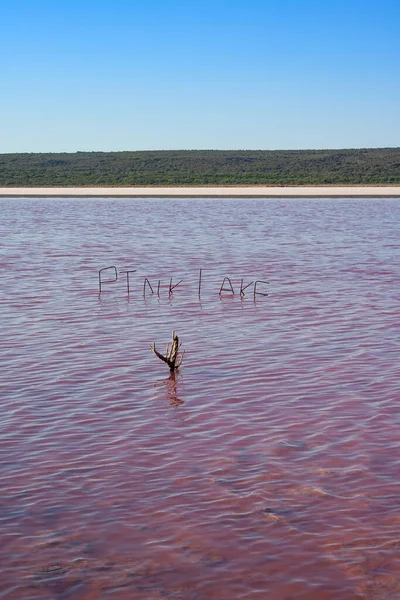 The famous Pink Lake in Hutt Lagoon, located in Western Australia