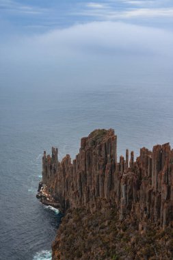 Raoul Burnu sisli bir günde, Tazmanya, Avustralya 'da yakalandı.