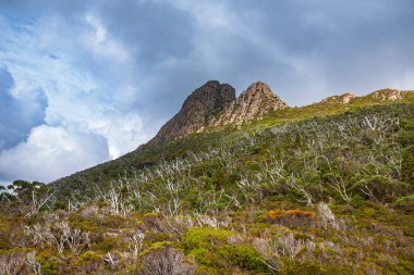 Cradle Mountain-Lake St Clair Ulusal Parkı, Tazmanya, Avustralya 'da bulutlu bir günde beşik dağına tırmanmak