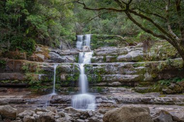 Liffey Falls Eyalet Rezervi, Tazmanya, Avustralya 'da bulunan Picturesque Liffey Falls