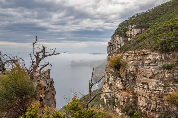 澳大利亚塔斯马尼亚拉乌尔角远足路径上令人叹为观止的悬崖 — 图库照片
